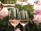 Кубань встречает осень винным фестивалем: что ждет гостей Черноморской винной недели