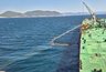 Миниатюра новости: Рекордный рост: нефтетерминал в Новороссийске нарастил перевалку на 12%