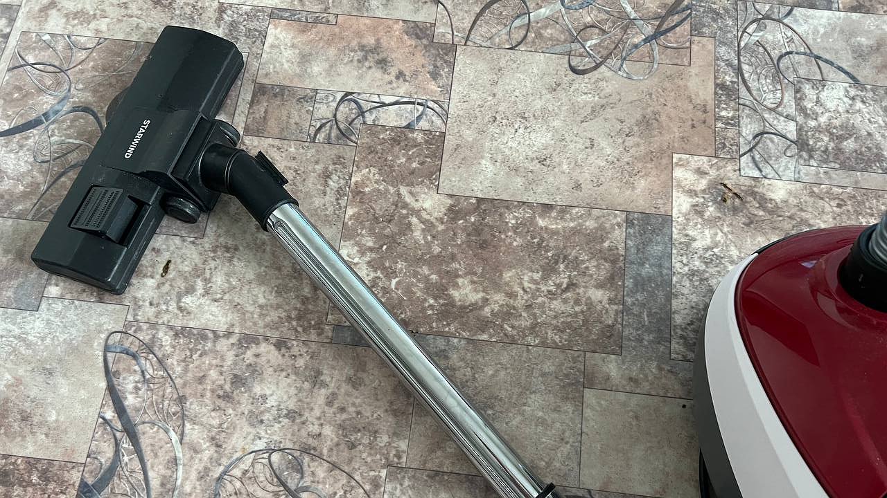 Главная картинка новости: За стирку и уборку в квартире – теперь санкции: жильцам готовят новый запрет ЖКХ