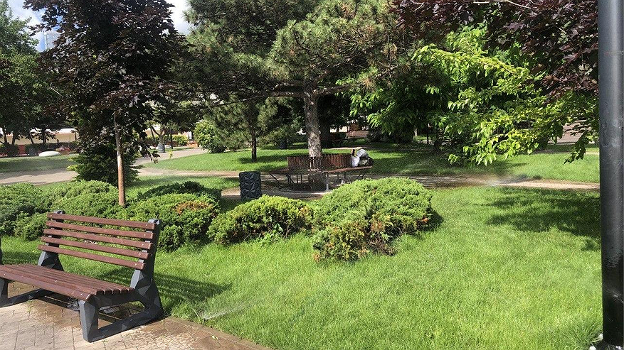 Главная картинка новости: Новороссийск получил рекордные 100 миллионов на масштабное озеленение