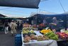 Миниатюра новости: Яблочный сезон в разгаре: в Новороссийске местные яблоки подешевели до 60 рублей