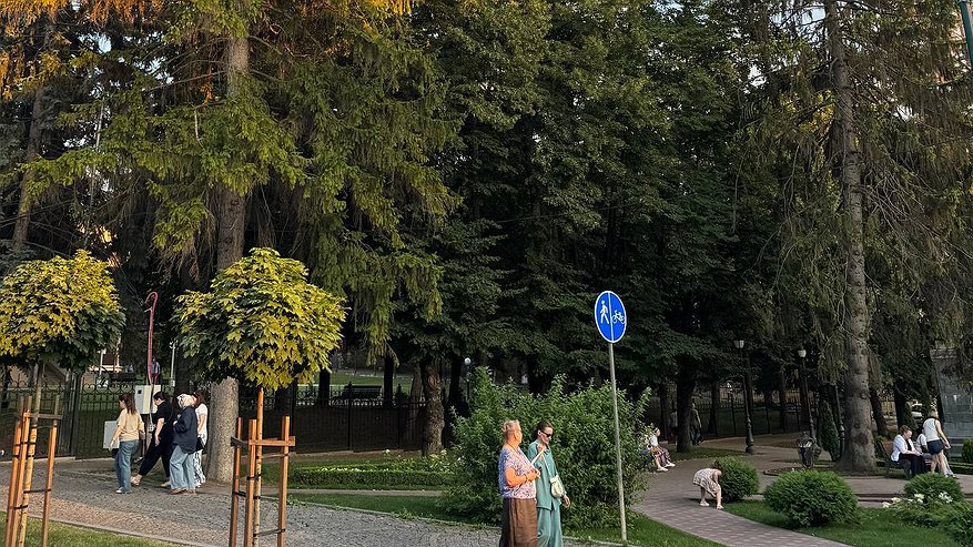 Главная картинка новости: Обработка от клещей в Анапе 5 октября: какие парки закроют на ночь