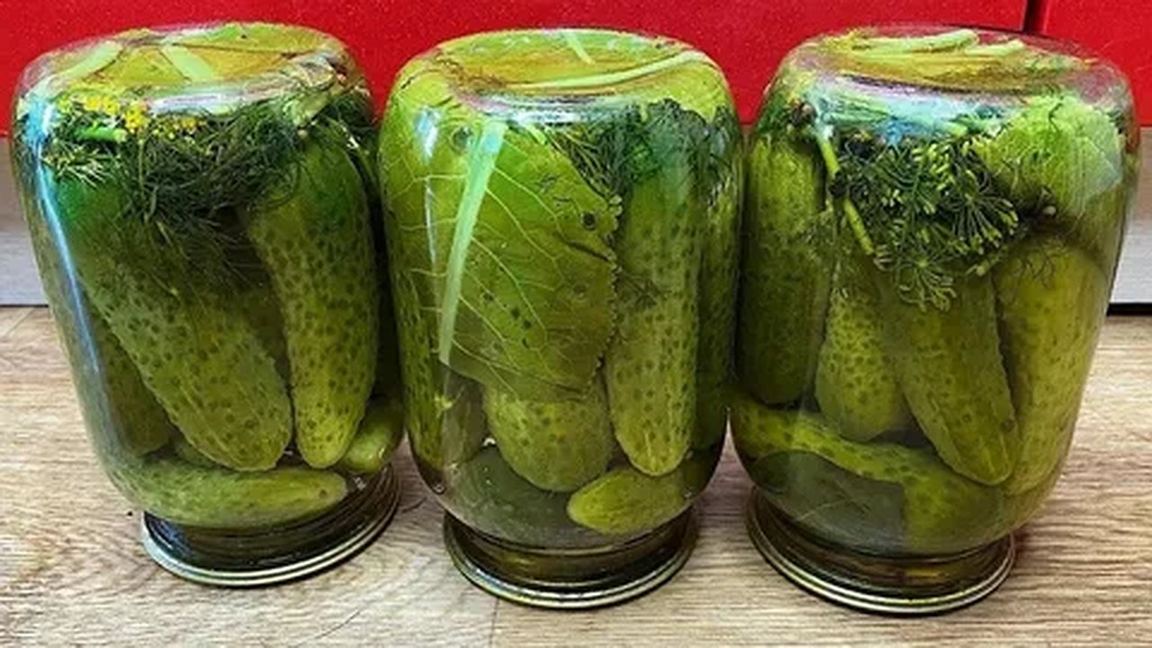 Главная картинка новости: Мой секрет идеальных соленых огурцов: добавляю в рассол одну ягоду, и они хрустят до самого лета