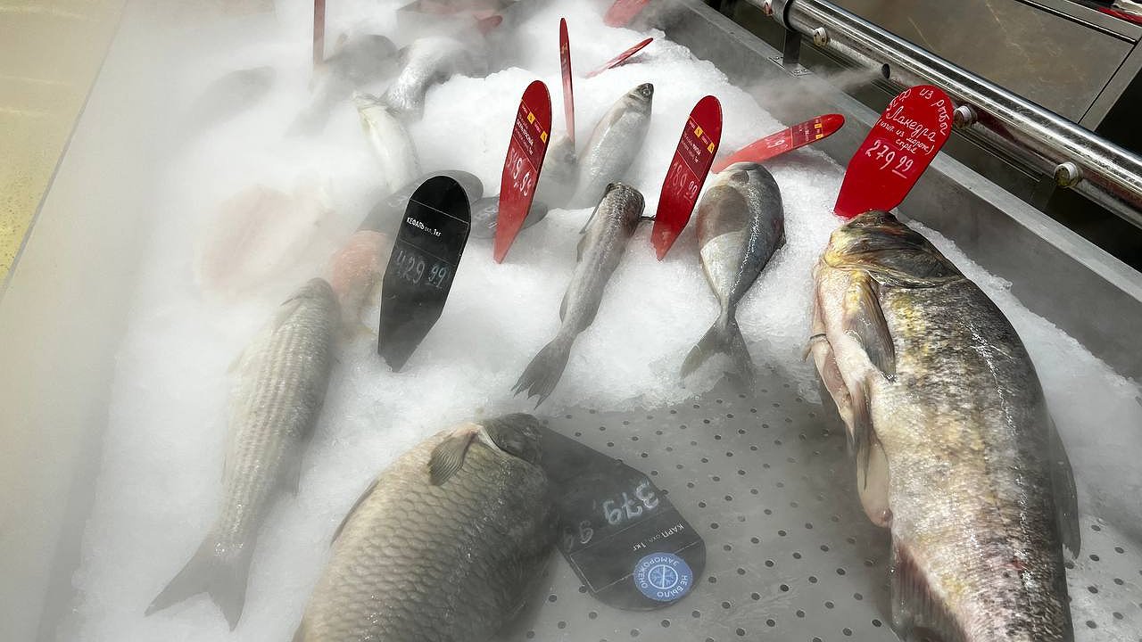 Главная картинка новости: Врачи назвали самую полезную рыбу для детей и взрослых: улучшает мозговую деятельность и лечит сердце