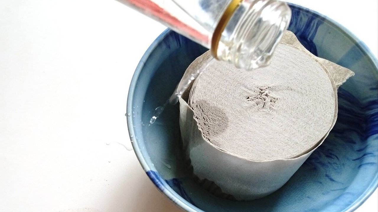 Главная картинка новости: Зачем замачивать туалетную бумагу в уксусе: простой лайфхак для чистоты унитаза, который удивит многих