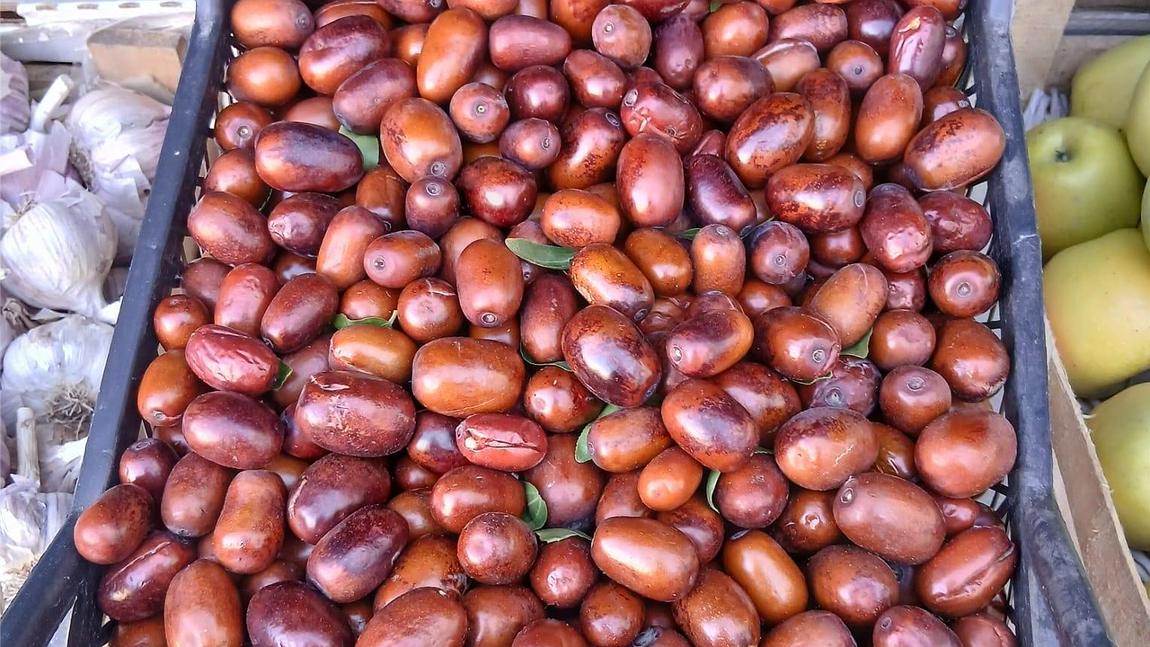 Главная картинка новости: Китайский финик появился на рынках Новороссийска: чем полезен экзотический зизифус