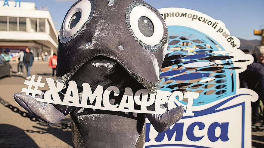 Главная картинка новости: «ХамсаФест-2025» в Новороссийске отменен: названа причина и дата, когда хамса появится в продаже