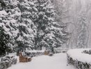 Аномалия надвигается на Юг России: что ждет жителей Кубани и Кавказа этой зимой