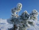 Зимой ожидается то, чего не было с 1775 года: синоптики рассказали, что ждет россиян