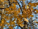 Погода на понедельник в Новороссийске: когда ждать дождь и можно ли купаться