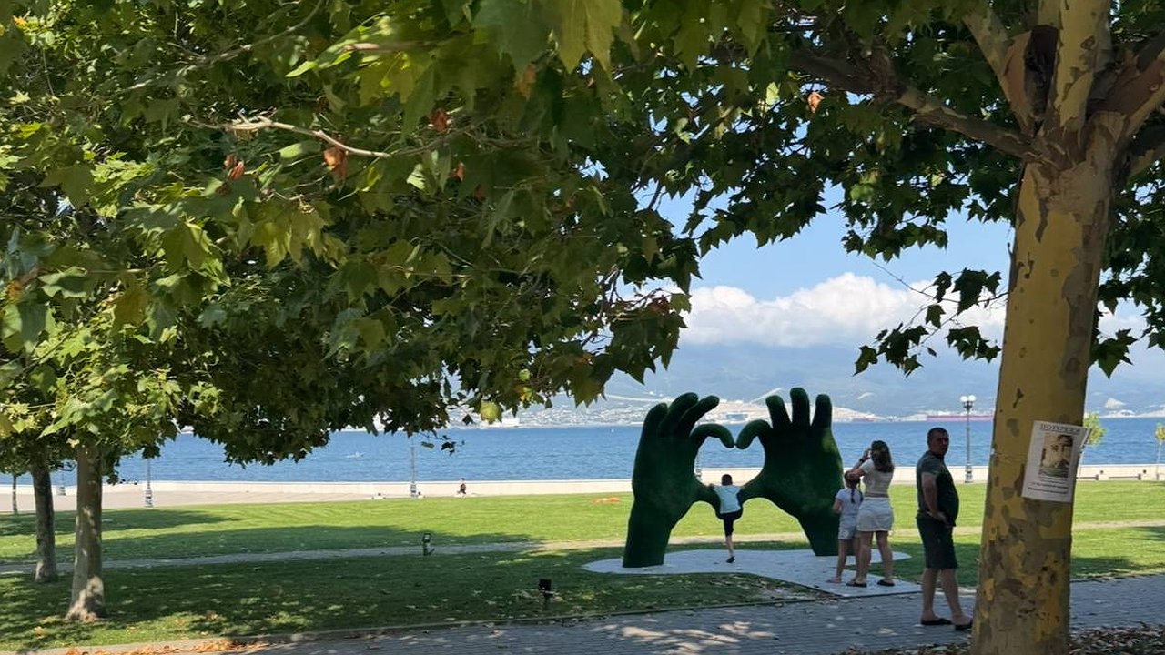 Главная картинка новости: Новороссийск готовится к новой волне озеленения: осенью высадят 360 тысяч цветов