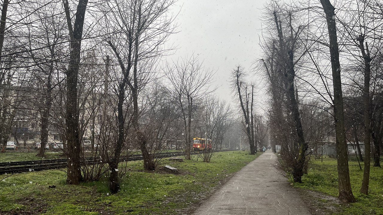 Главная картинка новости: Пик аномального похолодания: что ждет жителей Юга России в ближайшие дни