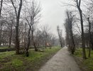Пик аномального похолодания: что ждет жителей Юга России в ближайшие дни