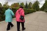 Миниатюра новости: Региональные и федеральные соцвыплаты повысят в России с 1 ноября