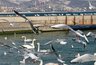 Миниатюра новости: Новороссийск запускает «зимние пляжи» для отдыха в межсезонье