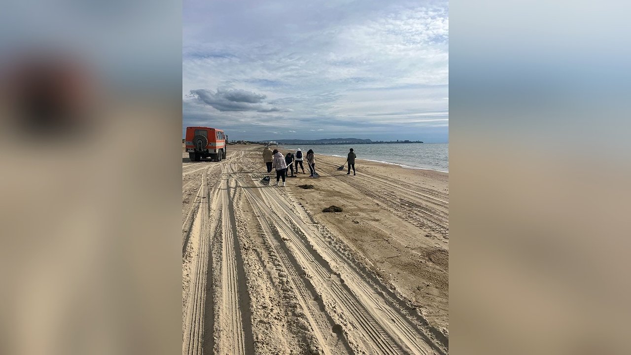 Главная картинка новости: Мазут на пляже: в Анапе после шторма обнаружили нефтепродукты