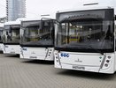 Зарплата от 65 тыс. рублей: в Новороссийске ищут водителей для новых автобусов и троллейбусов