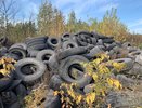 Куда девать старые покрышки: в Новороссийске нашли решение и открыли бесплатный пункт приема