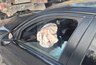 Миниатюра новости: Смертельное ДТП в Новороссийске: BMW поднырнул под КамАЗ на трассе «Новороссийск-Керчь»