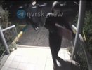 Красноярским граффити-художникам грозит до 15 лет тюрьмы за рекламу наркоплощадок в Новороссийске