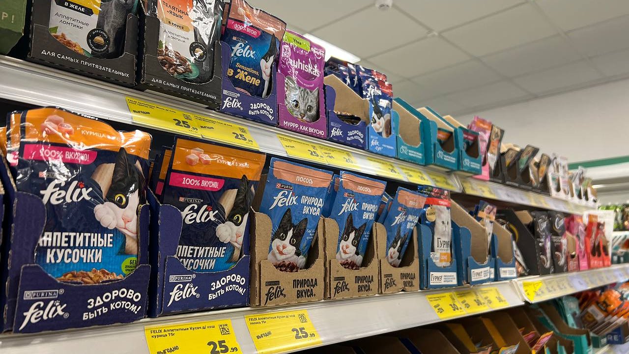 Главная картинка новости: Сколько раз в день кормить кошку и как выбрать корм: правила на всю жизнь