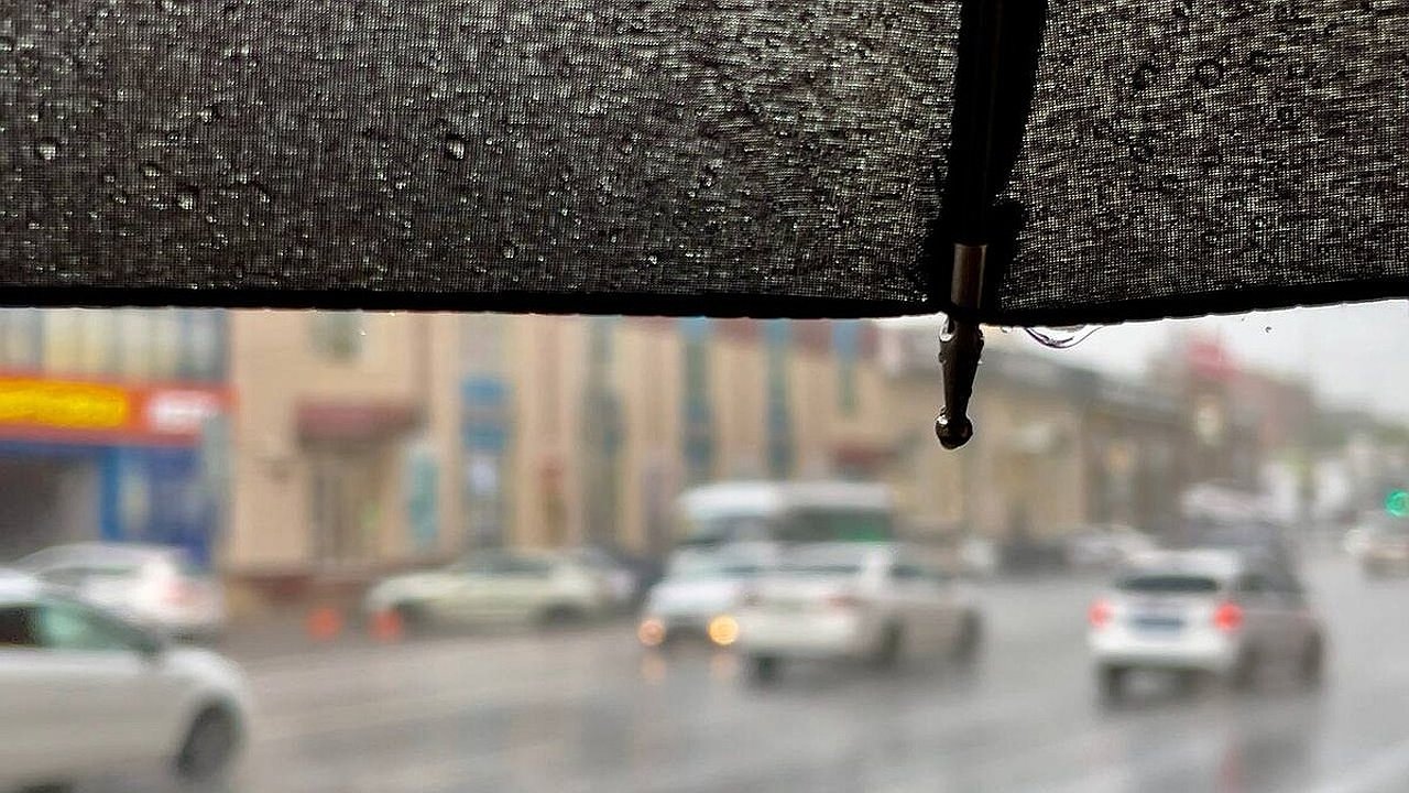 Главная картинка новости: Дожди и штормовой ветер: синоптик Леус предупредил кубанцев о резком ухудшении погоды