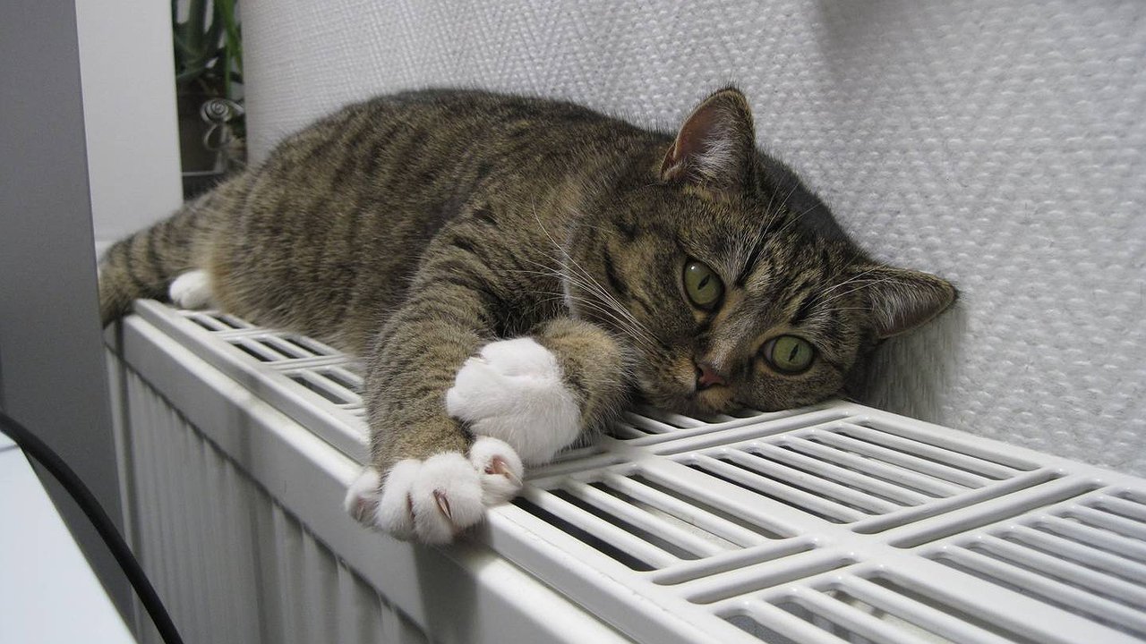 Главная картинка новости: В Новороссийске начали топить, но не везде: когда ждать тепло в квартирах и почему батареи остаются холодными