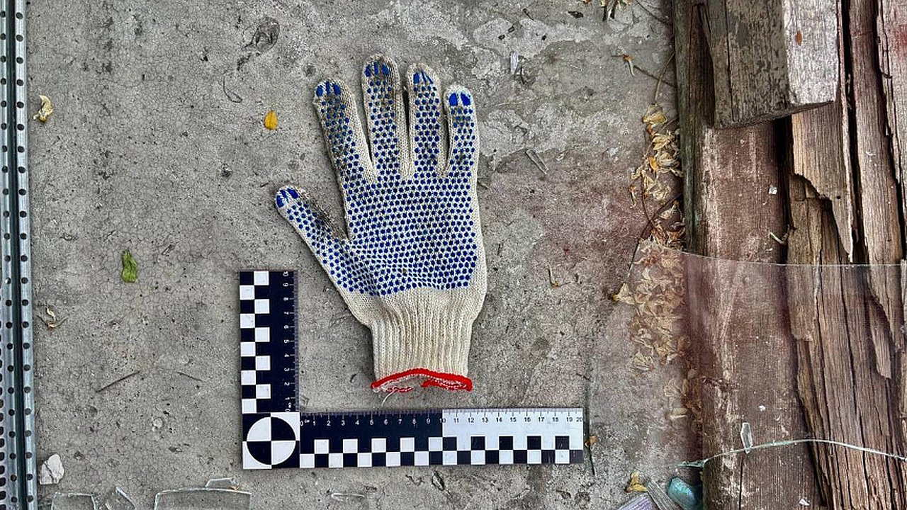 Главная картинка новости: Ремонт превратился в погром: новороссийский мастер предстанет перед судом за уничтожение квартиры заказчицы