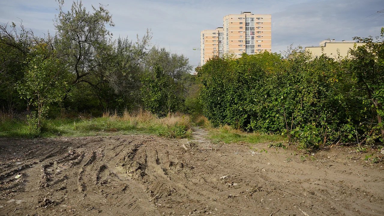 Главная картинка новости: В Новороссийске появится база краевых спасателей: новый отряд «Кубань-СПАС» начнет работу в 2026 году