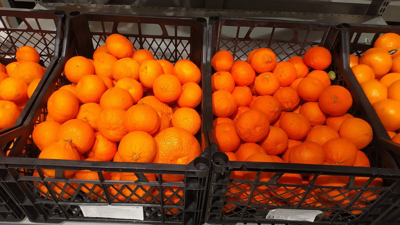 Главная картинка новости: Секреты выбора абхазских мандаринов: 4 признака, которые помогут отличить настоящие плоды от импортных