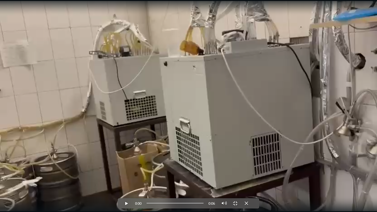 Главная картинка новости: В Новороссийске изъяли 900 литров пива: владелец магазина нарушил запрет на торговлю в жилом доме