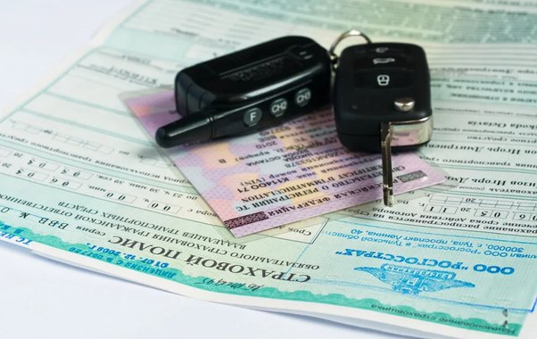 Водителям Новороссийска пора готовиться: с 2026 года льготное продление прав отменяется