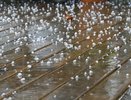 Стихия бьет по Кубани: в выходные край накроют ливни с градом, а над морем возможны смерчи