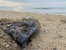 Новая угроза Черному морю: 900 тонн мазута на подступах к Анапе. Повторится ли экологический кошмар для Новороссийска