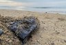 Миниатюра новости: Новая угроза Черному морю: 900 тонн мазута на подступах к Анапе. Повторится ли экологический кошмар для Новороссийска