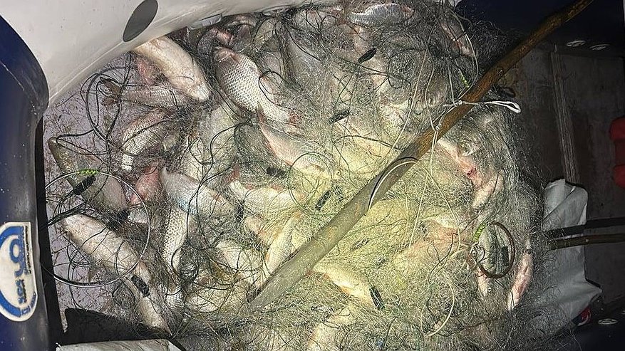 Главная картинка новости: Почти 400 тысяч рублей ущерба: браконьер из Каневского района понес наказание за незаконный вылов рыбы