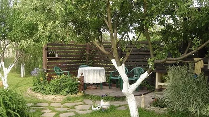 Главная картинка новости: Ноябрьская защита для яблонь и груш: простой способ сохранить деревья до весны