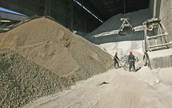 Экологический спор на Кубани: Минприроды требует закрыть аренду леса у цементного завода