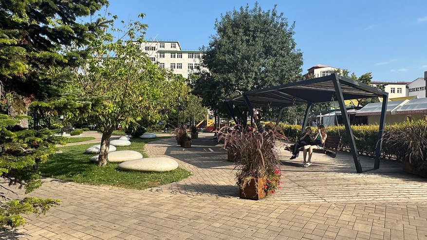 Главная картинка новости: Экологическая обстановка в Новороссийске: воздух соответствует норме