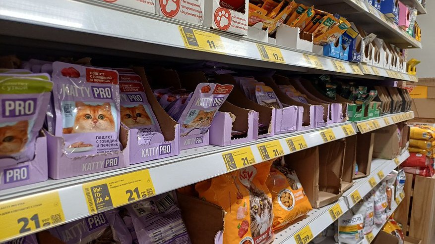 Главная картинка новости: Мы сами губим своих питомцев по незнанию: чем нельзя кормить кошек в холодную погоду — а мы продолжаем это делать