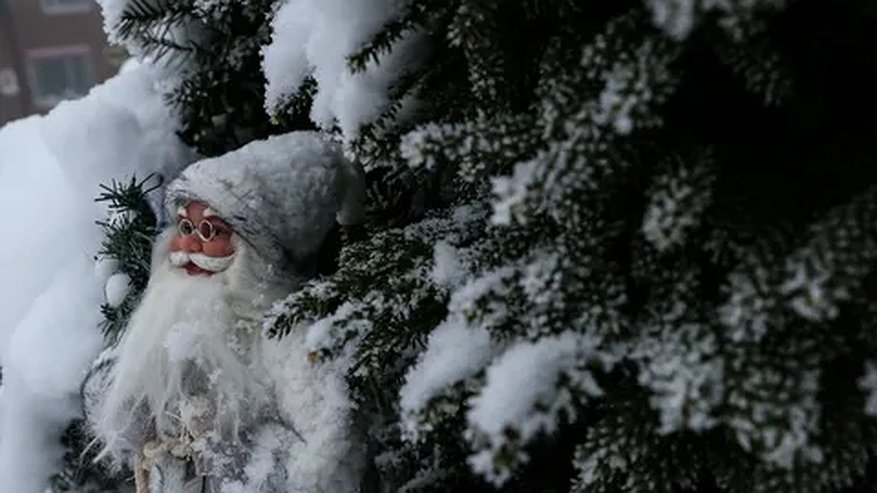 Главная картинка новости: Прогноз погоды на новогоднюю ночь 2026 года: будет снег или слякоть