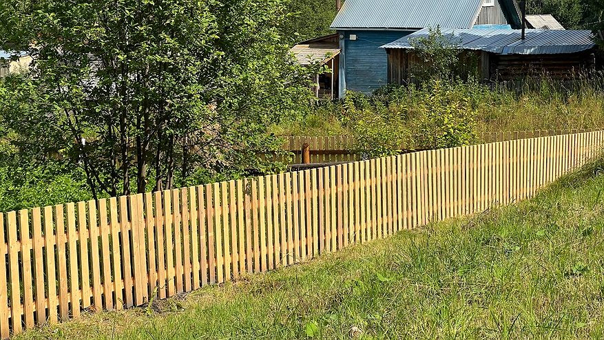 Главная картинка новости: Всем заборам забор: бюджетный, не ржавеет, не просвечивает – никто через него не переберется