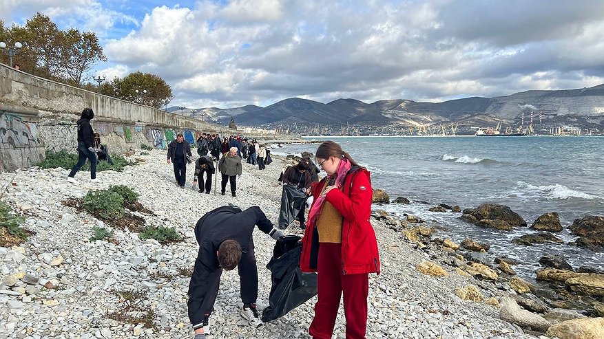 Главная картинка новости: Новороссийск отметил День Чёрного моря масштабным субботником: более 100 участников очистили побережье