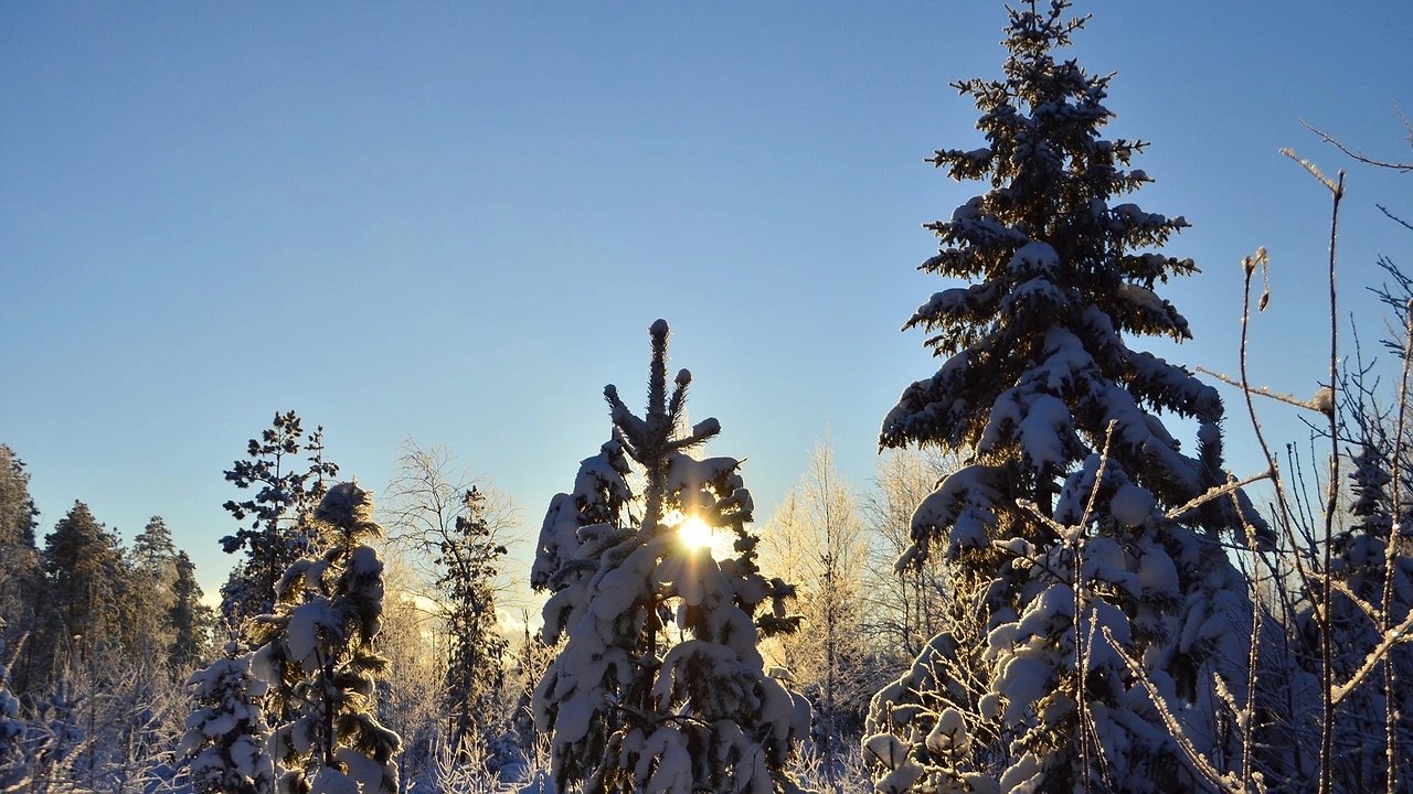 Главная картинка новости: Россиян обрадуют: новогодние каникулы продлят — правительство назвало новые даты