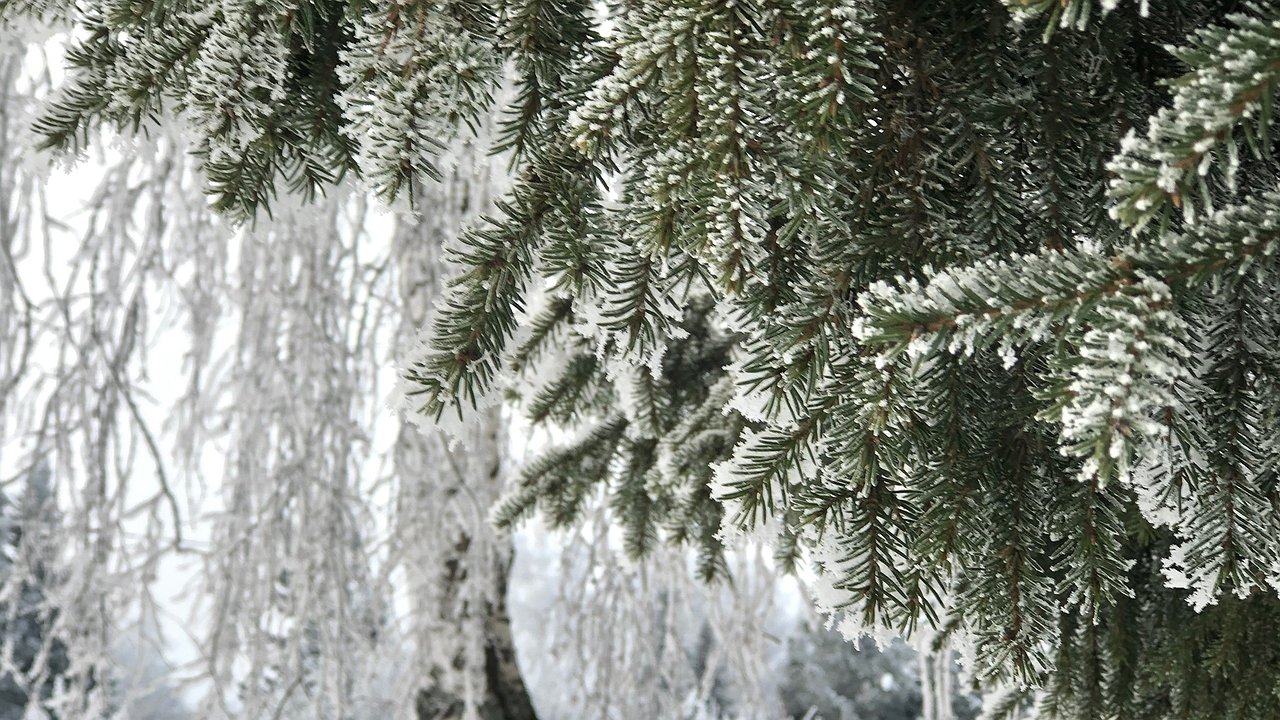 Главная картинка новости: «Зимы, которую мы ждем, не будет»: синоптики рассказали о шокирующих переменах