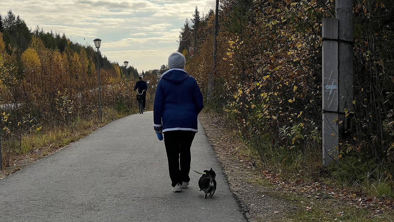 Главная картинка новости: Если вам от 45 до 75 лет: 3 правила академика Микулина, которые перевернут ваше представление о здоровье