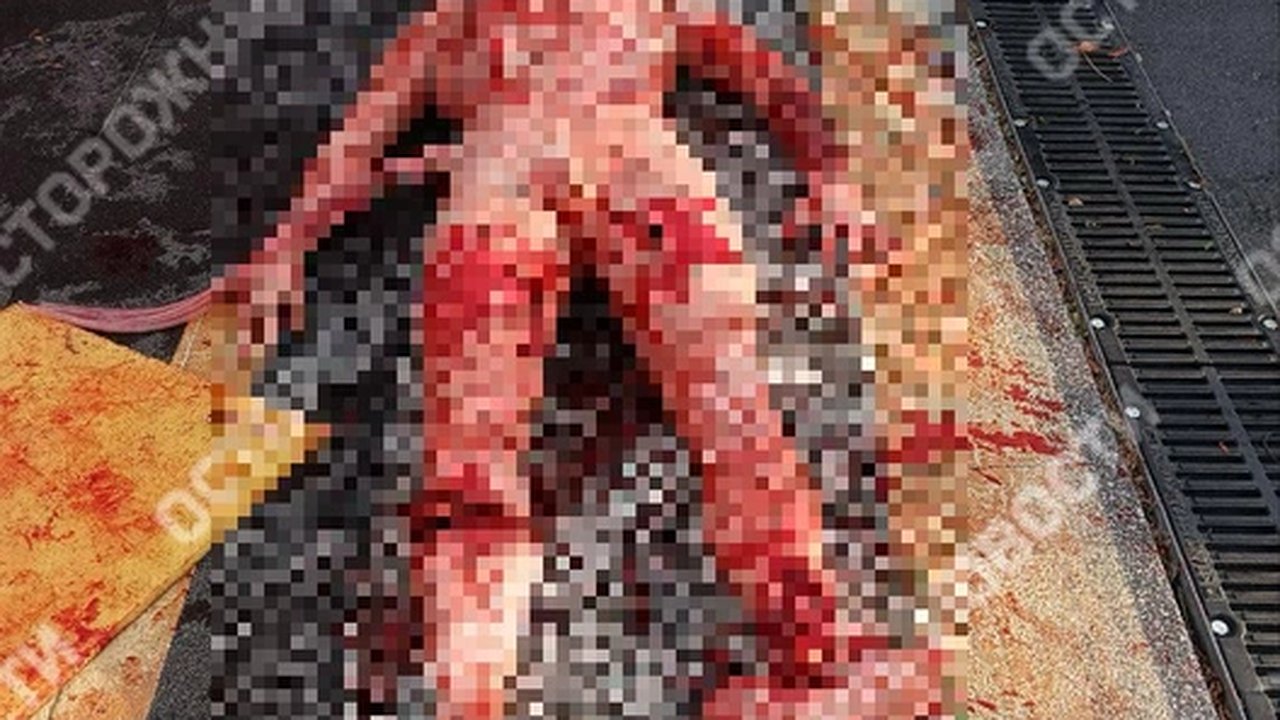 Главная картинка новости: Что творилось на "Добром Новороссийске": шокирующие кадры с фестиваля взорвали соцсети