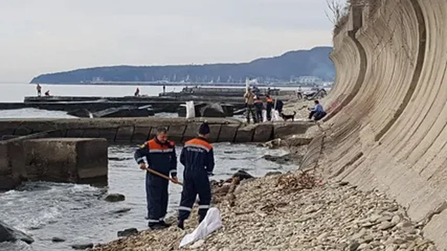 Главная картинка новости: В Туапсе очистили 300 метров побережья после атаки дронов: результаты работ и новые детали