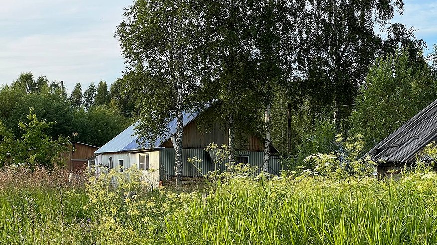 Главная картинка новости: Владельцам участков в Краснодарском крае грозят штрафы до 700 тыс. рублей за борщевик