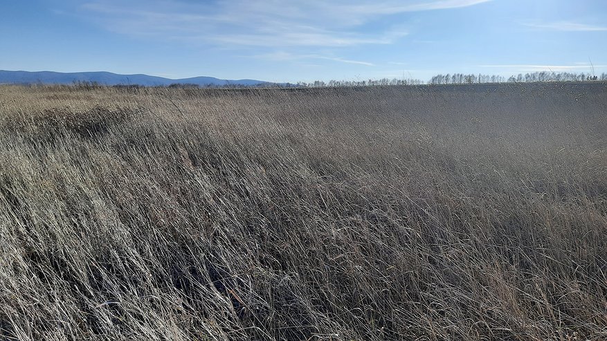 Главная картинка новости: В Новороссийске изымают земельные участки под строительство новой дороги на Волгоградской